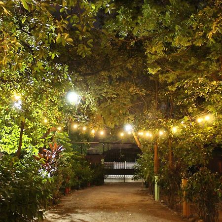 Hostalito El Greco Bagaces Dış mekan fotoğraf